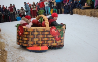 Лысогорские санки